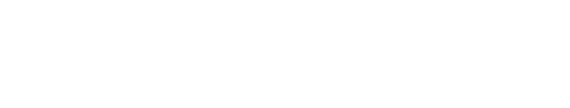 Logo Coconut Heads horizontal weiß