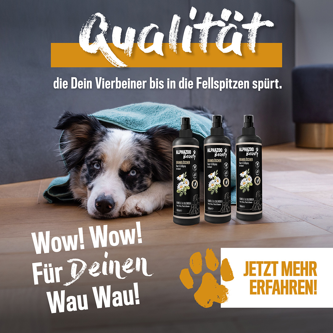 Hund mit Pflegeprodukten von ALPHAZOO, Text 'Qualität, die Dein Vierbeiner bis in die Fellspitzen spürt.', 'Wow! Für deinen Wau Wau!', 'Jetzt mehr erfahren!'