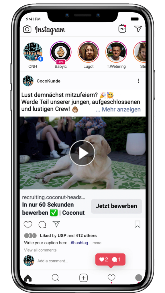 Screenshot eines Instagram-Posts von CocoKunde. Der Post zeigt ein Bild eines Labrador-Welpen, der vor einer Gruppe von Menschen auf einer grünen Decke sitzt und auf einen Play-Button im Bild deutet. Der Begleittext regt dazu an, Teil der jungen, aufgeschlossenen und lustigen Crew zu werden. Unten im Bild befindet sich ein Aufruf zur Bewerbung in nur 60 Sekunden bei Coconut. Das Bild hat Likes und Kommentare, was auf eine aktive Interaktion hinweist